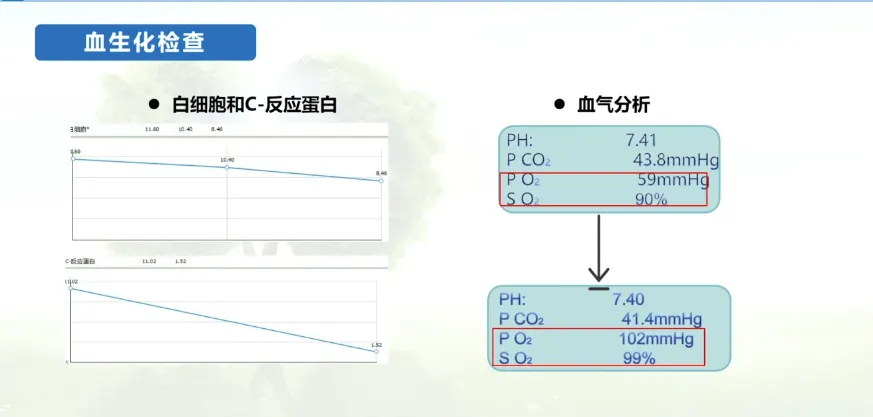 微信圖片_20250815102941_42